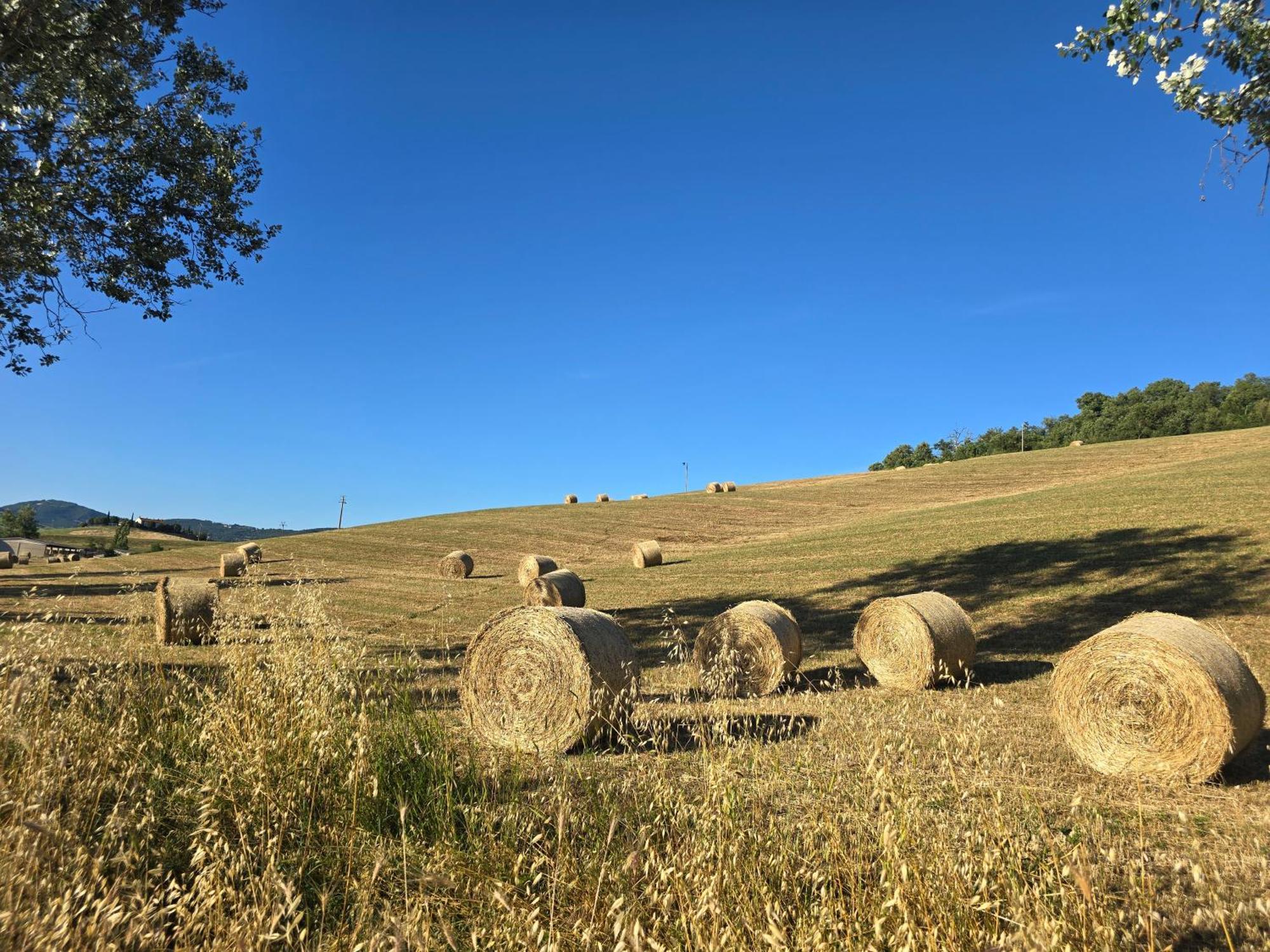 Апартаменты Finestra Della Val D'Orcia Contignano Экстерьер фото